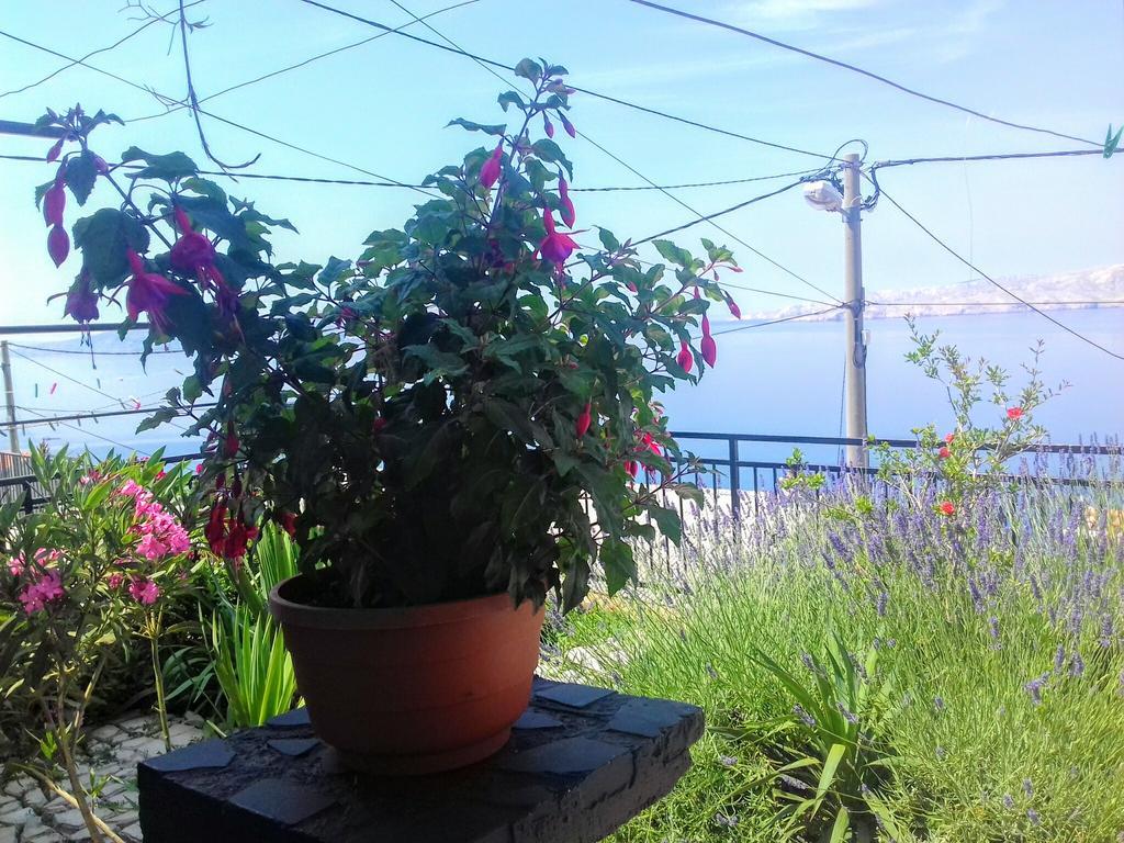 Apartment Little Princess Dora Senj  Esterno foto