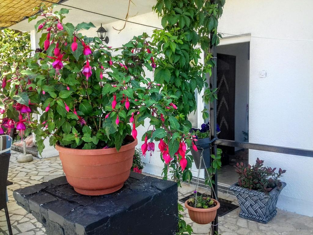 Apartment Little Princess Dora Senj  Esterno foto